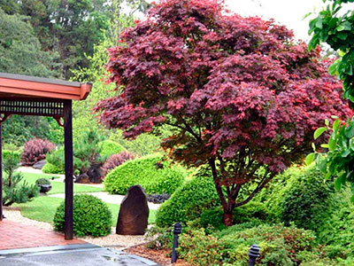 Landscape Maintenance, Shreveport, LA
