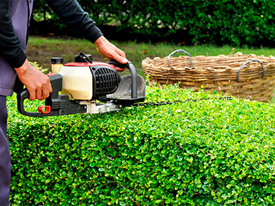Residential Tree & Shrub Care, Ruston, LA