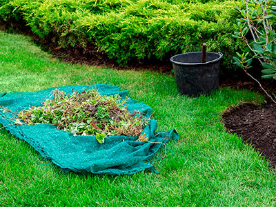 Residential Weed Control, Ruston, LA